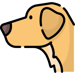 Mystical Familiar™ - Dog