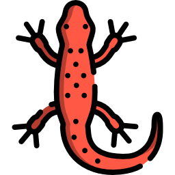 Mystical Familiar™ - Salamander